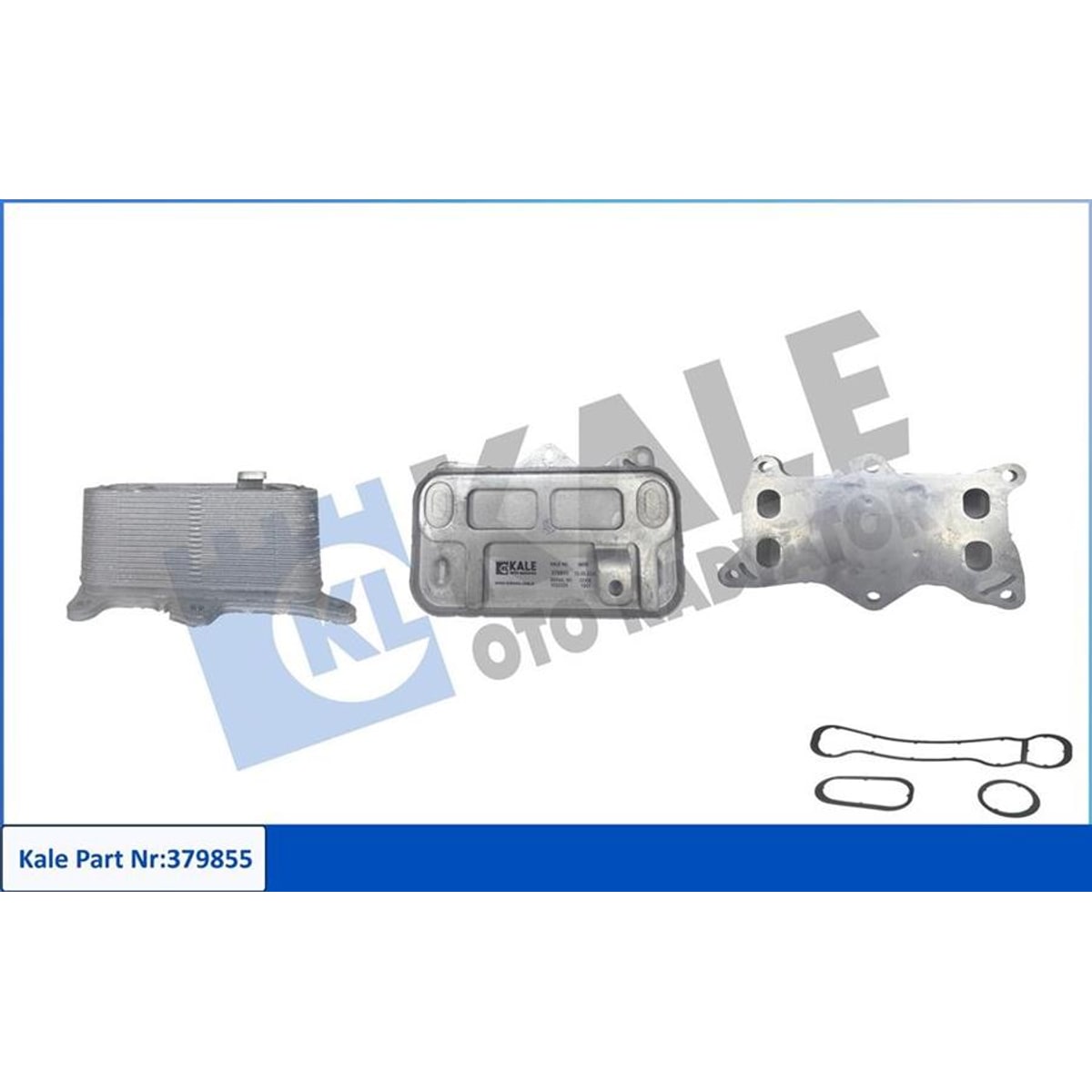 Vito W447 Motor Yağ Soğutucu 379855
